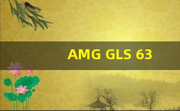 AMG GLS 63,amggt63s有多难买